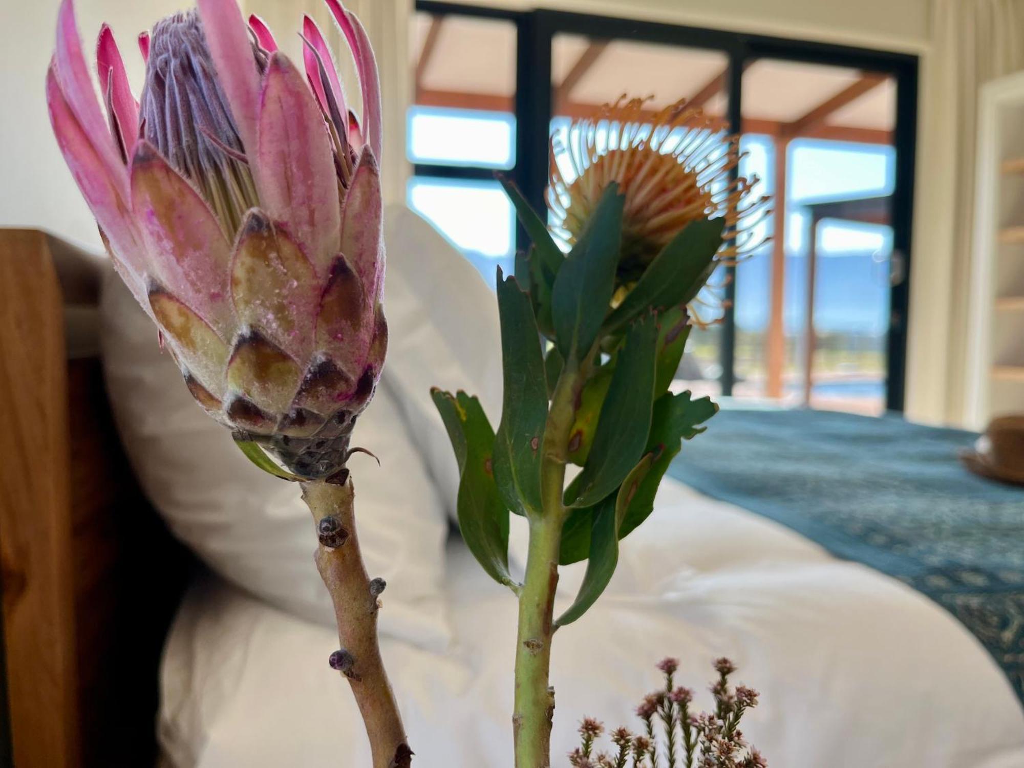 Raptor Rise Tulbagh Eksteriør bilde
